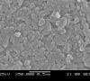 NEU_Figure 1 SEM micrographs of NPCC