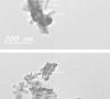 TEM image of Fe3O4 nanoparticles prepared by co-precipitation method.