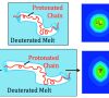 Molecular-Scale Polymer Melts Response to shear in the linear and non-linear rheological